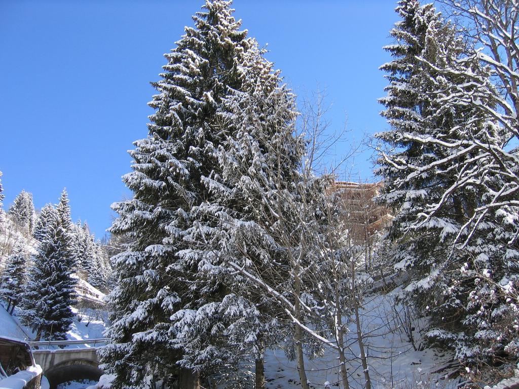 Hotel Rododendro Foppolo Εξωτερικό φωτογραφία